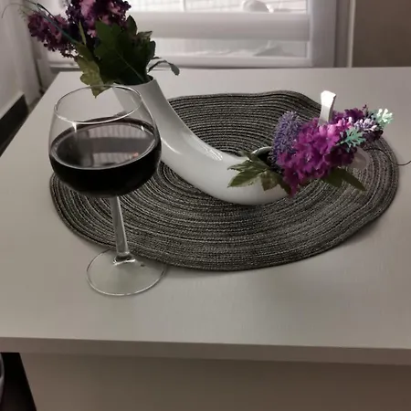 Goga 1 Apartment Veliko Gradiste