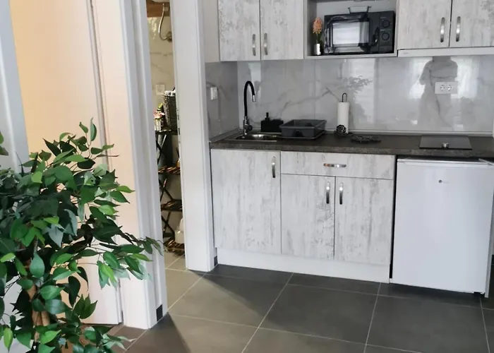 Apartman Goga 1 Veliko Gradište